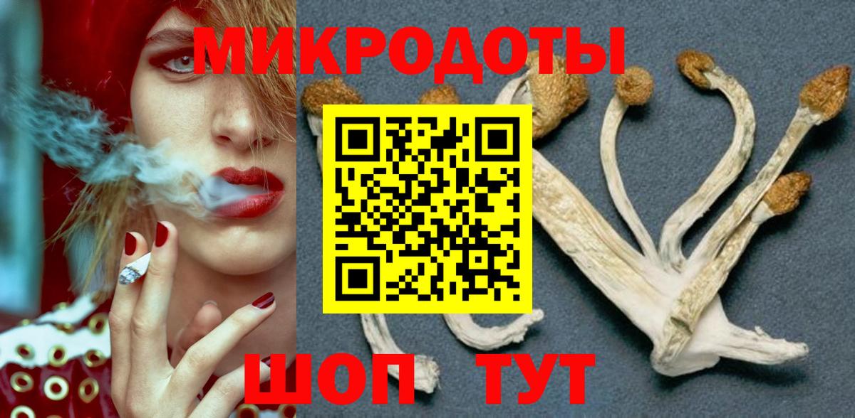 Кунгур  Псилоцибиновые грибы мицелий  Вход с VPN 