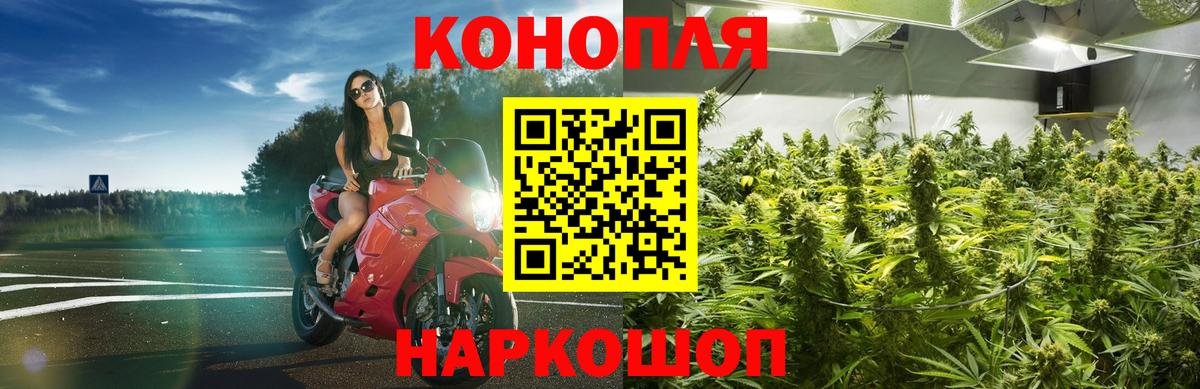 Канабис MAZAR  Вход с VPN  Марихуана план  Каннабис Ganja  Кунгур 